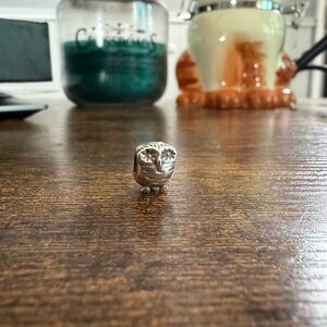 Pandora Owl Charm Bead